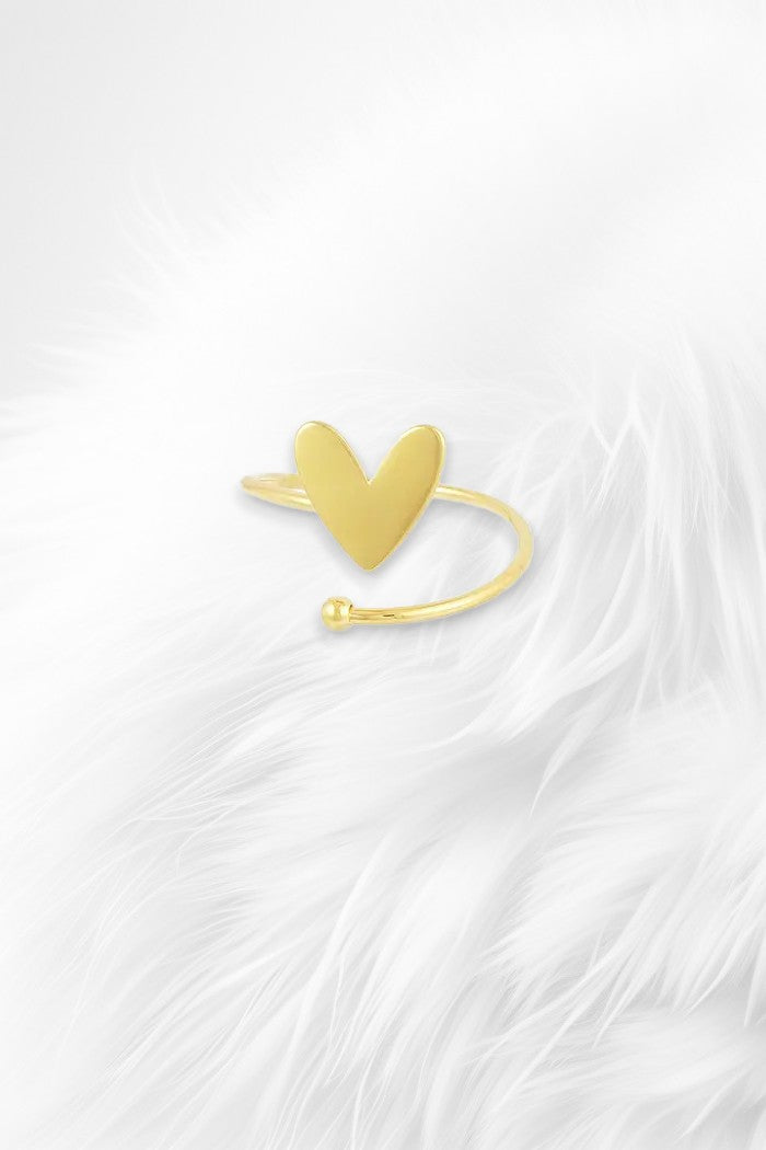 Twisted love ring - Gold & Silver