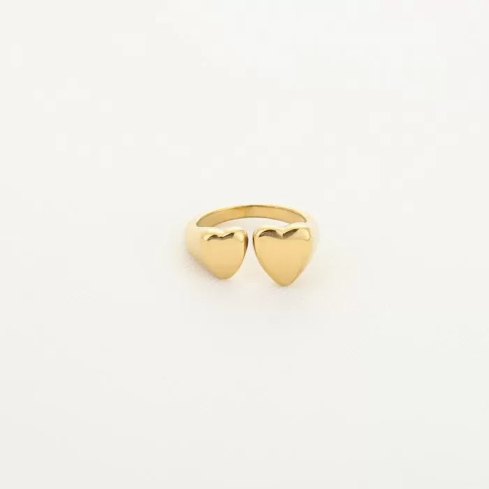 Ring Raya