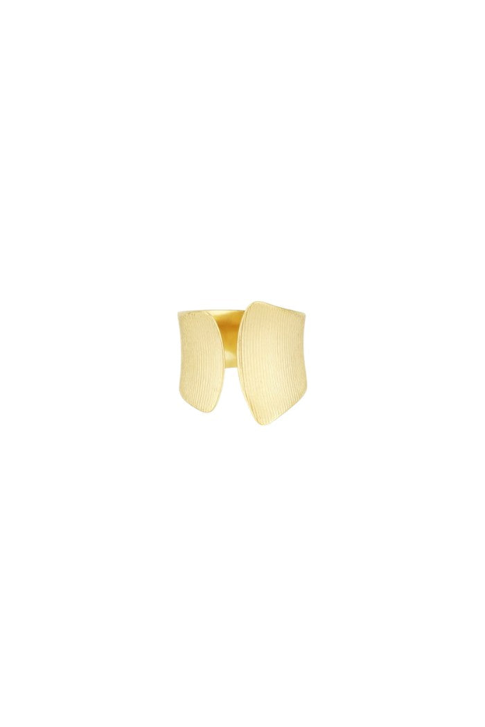 Subtle elegance ring