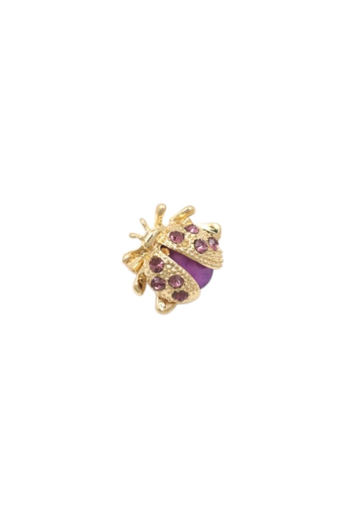 Ladybug Broche