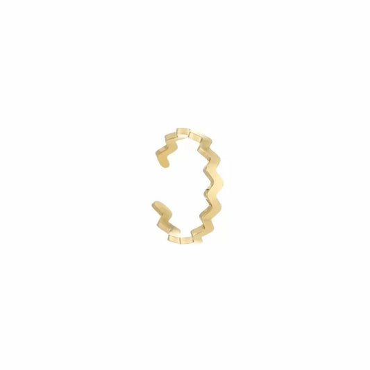 Ring Ziggy
