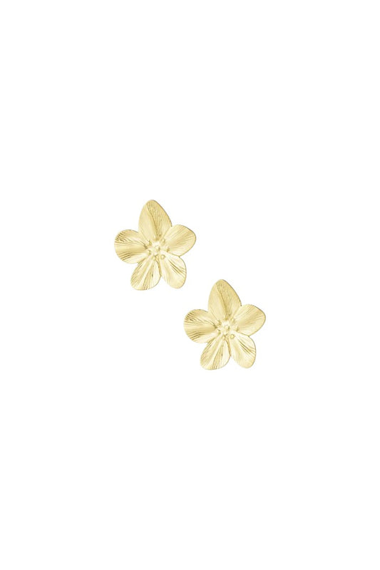 Oorbellen petal pop