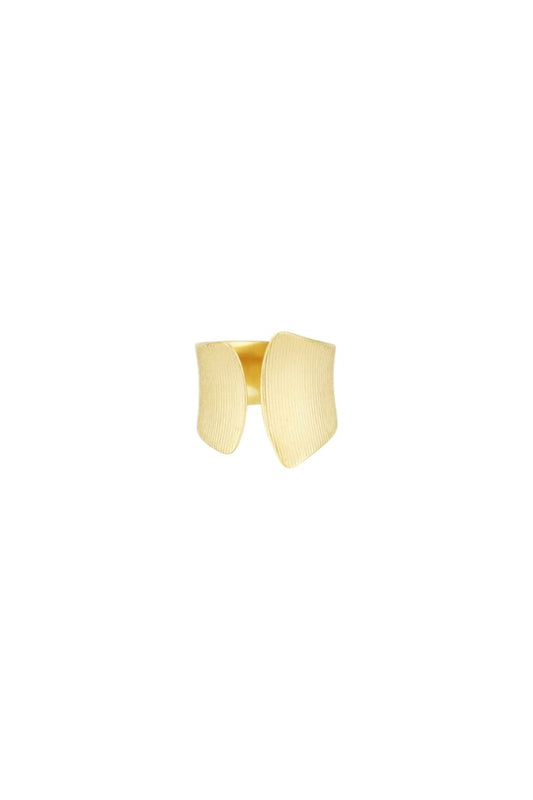 Subtle elegance ring