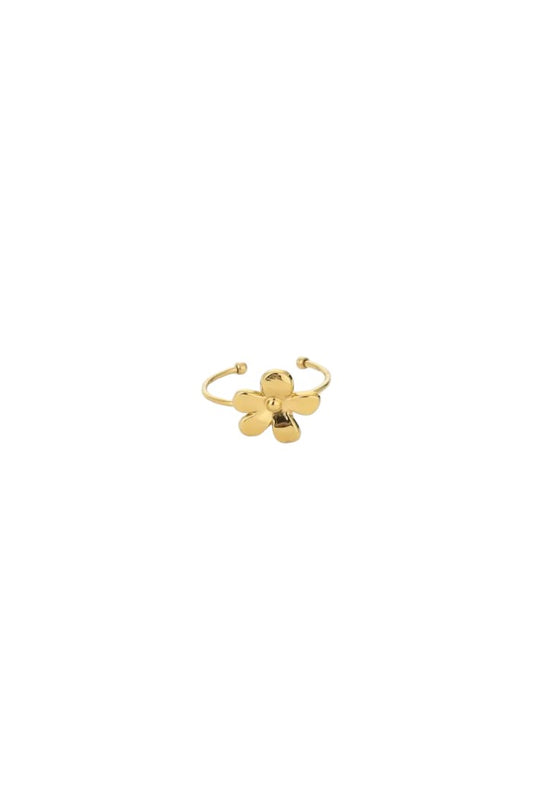 Ring Sanne